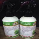 หน้าฝนยุงและเเมลงเยอะมาก ป้องกันยุงสาเหตุการเกิดโรคพยาธิหนอนหัวใจในสุนัข 