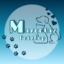 Westie Terrier(เวสตี้) อายุ3เดือน เพศชาย วัคซีน3พร้อมสมุด ใบเพ็ดดีกรีจากสมาคม