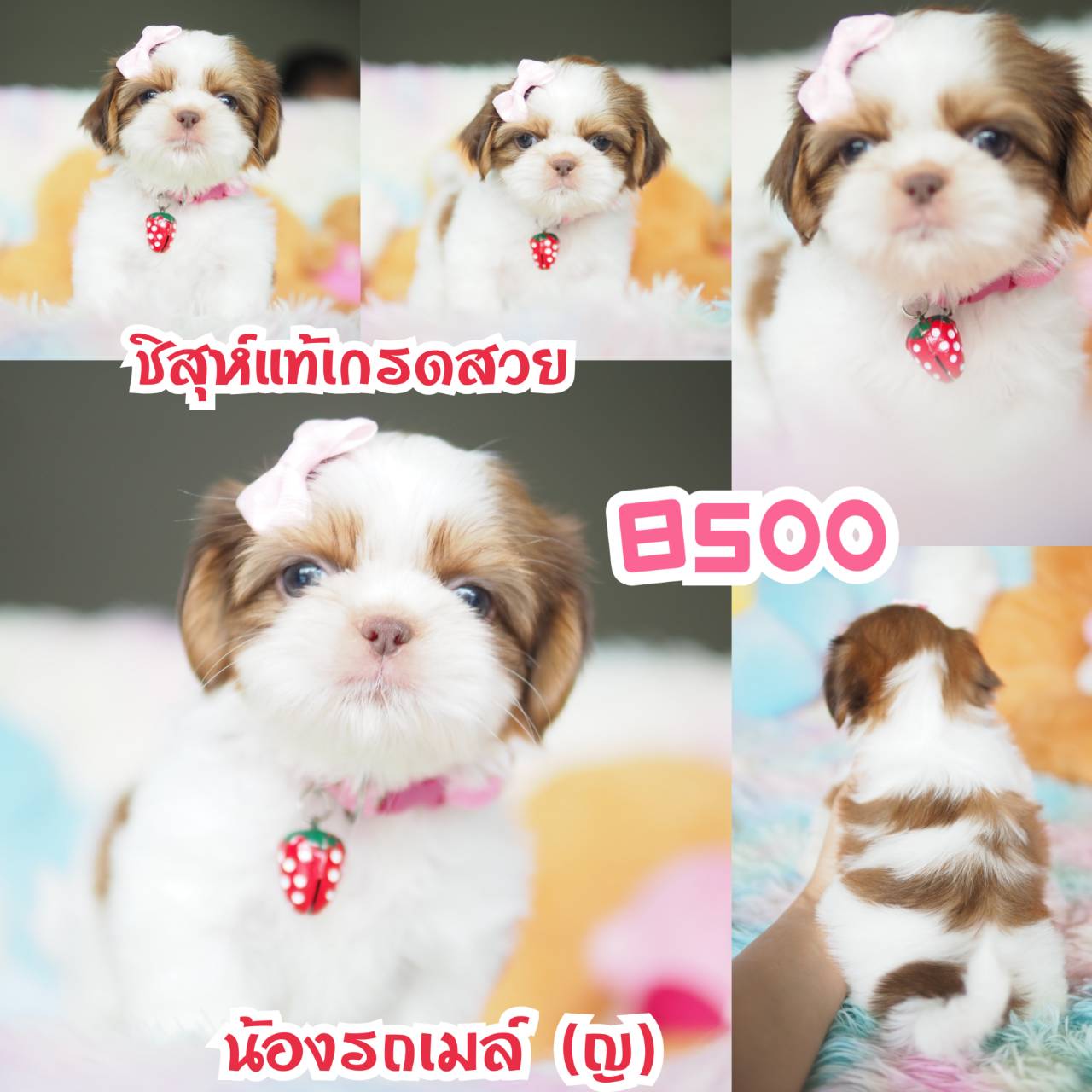 ❤️กิ๊ฟซ่า จัดโปร เกรดสวย สะพานใหม่ กทม.