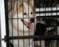 อัพเดท ลูกบางแก้วตัวสุดท้ายครับ
