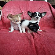 ย้ายบ้านแล้วครับ