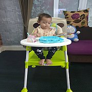 หาบ้านใหม่ให้น้องเปอร์เซียเพศผู้ อายุ4เดือน ขอเป็นคนในโซนภาคใต้หรือจังหวัดใกล้เค...