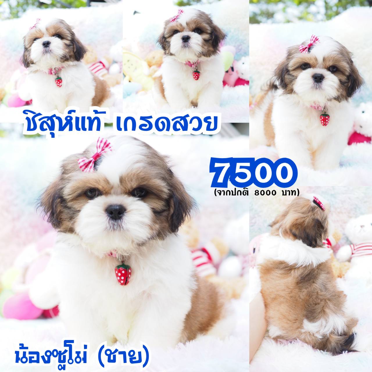 ❤️กิ๊ฟซ่า มีแต่สวยๆ