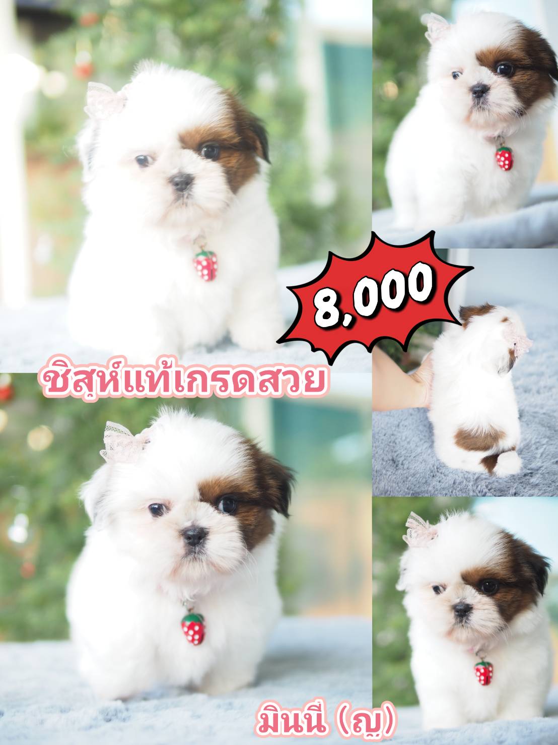 กิ๊ฟซ่า ลดได้ๆ จ้า