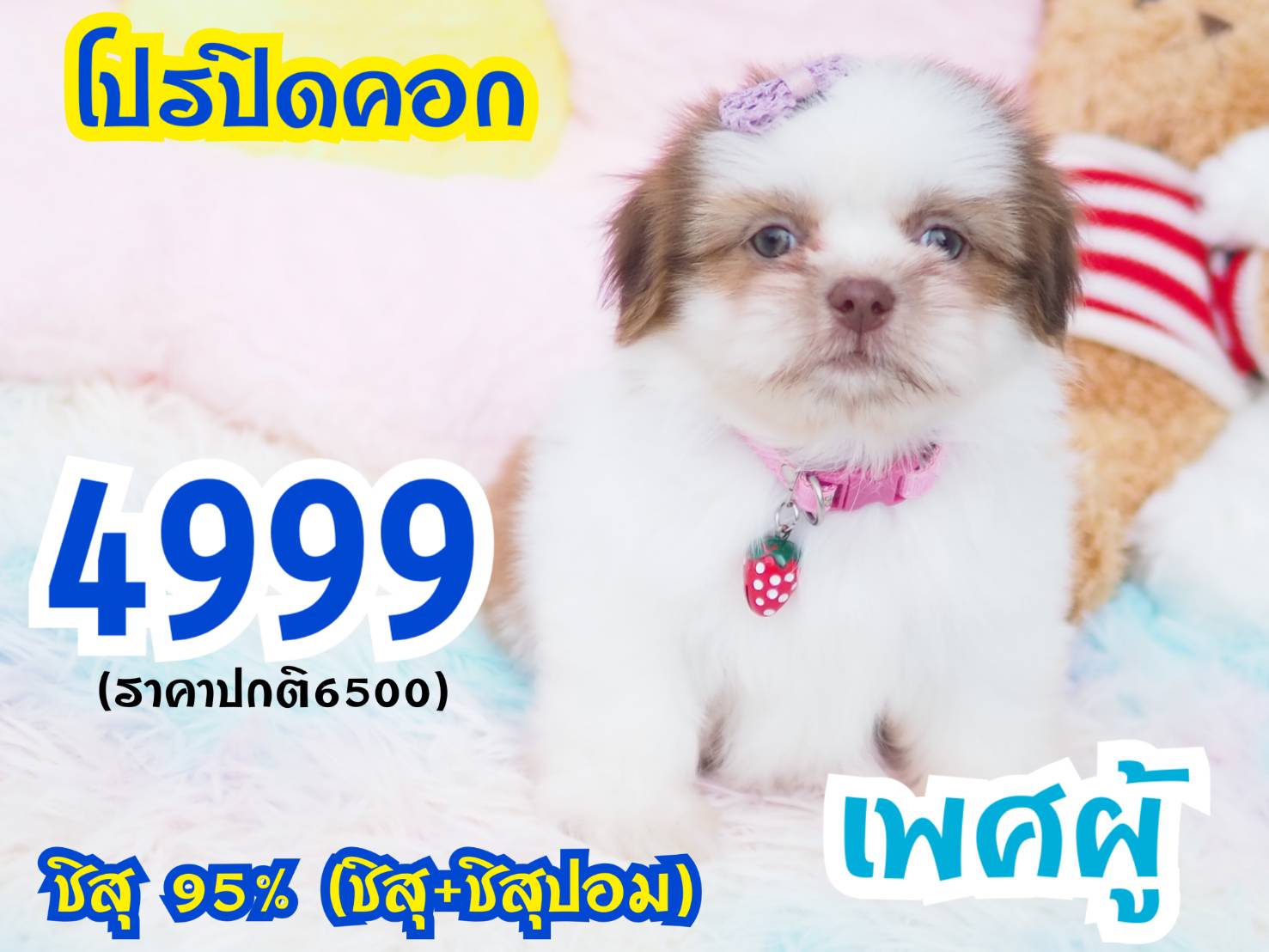 ❤️กิ๊ฟซ่า จัดโปร เกรดสวย สะพานใหม่ กทม.