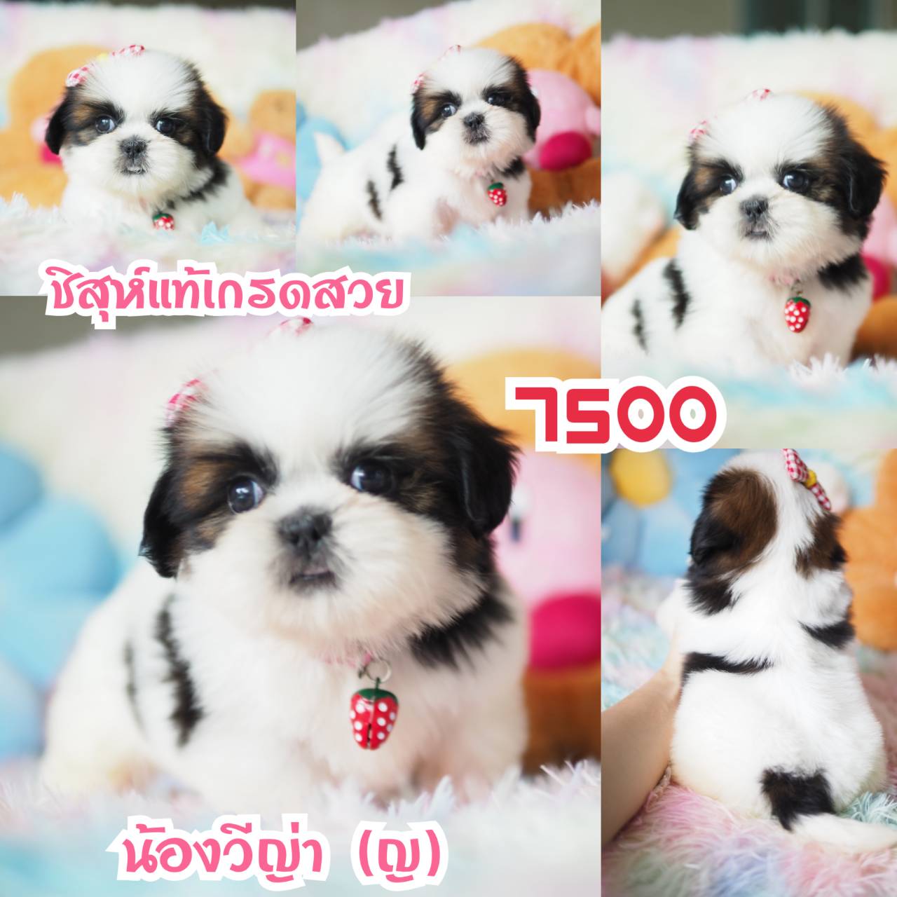 ❤️กิ๊ฟซ่า จัดโปร เกรดสวย สะพานใหม่ กทม.
