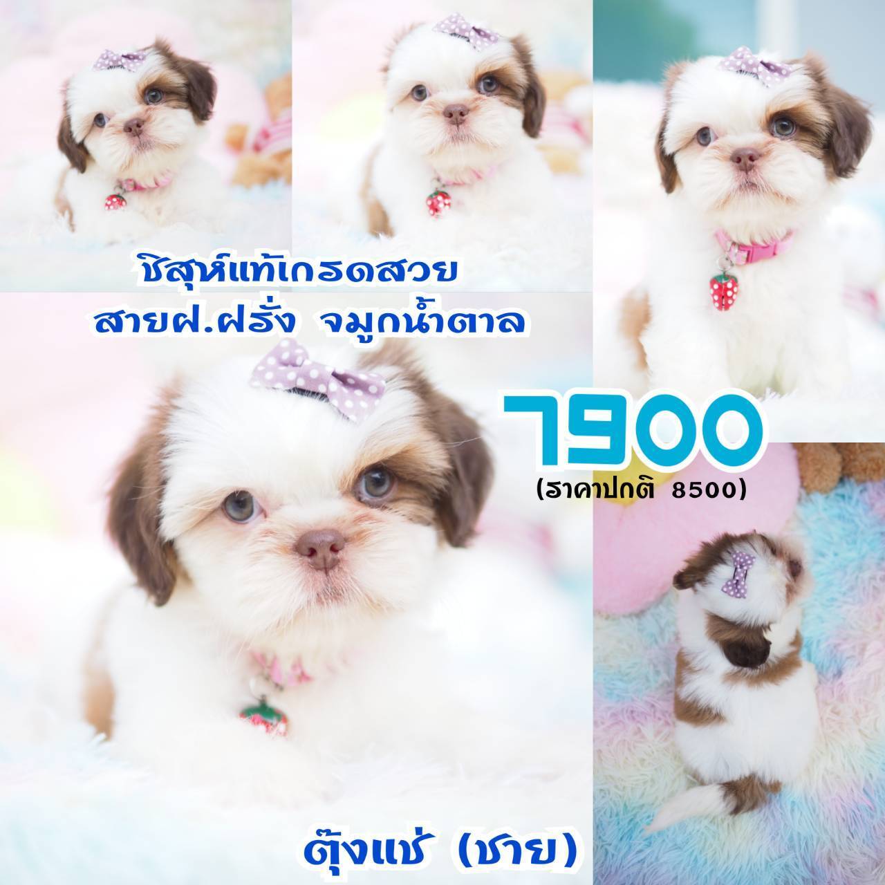 ❤️กิ๊ฟซ่า จัดโปร เกรดสวย สะพานใหม่ กทม.