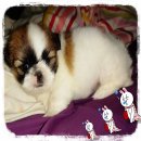 ขายแล้วค่ะ