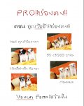 PRO !!บ่องตง!! ตอน ถูกเว้ออ้า 3,900 บาท<<