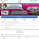 Little friendship จำหน่ายชิสุทอยแท้ รับประกันสายพันธ์แท้ เกรดคุณภาพ พร้อมรับประก...