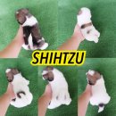 SMALLDOGLAND จำหน่ายชิสุทอยแท้เพศผู้สีสวยน่ารักตัวเล็กเรามีบริการส่งการันตีสุขภา...