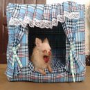 บ้านหมาสวยไฮโซ ราคาประหยัดซักได้ทั้งใบ