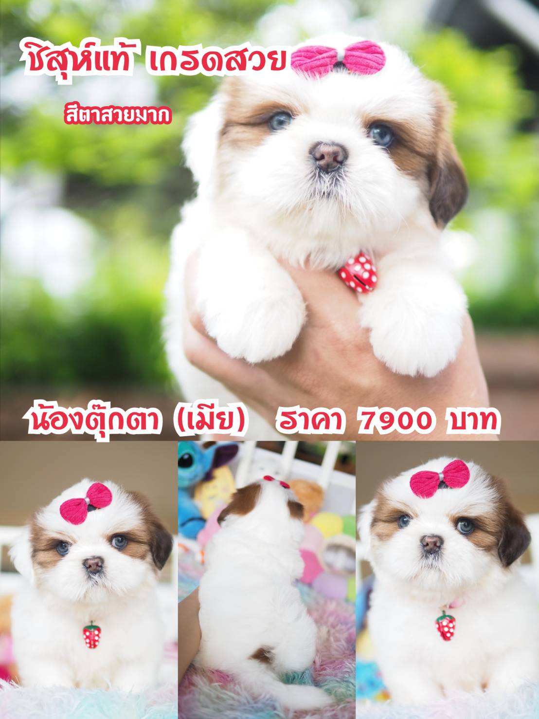 ⛔️kibzaa มีแต่สวยๆ