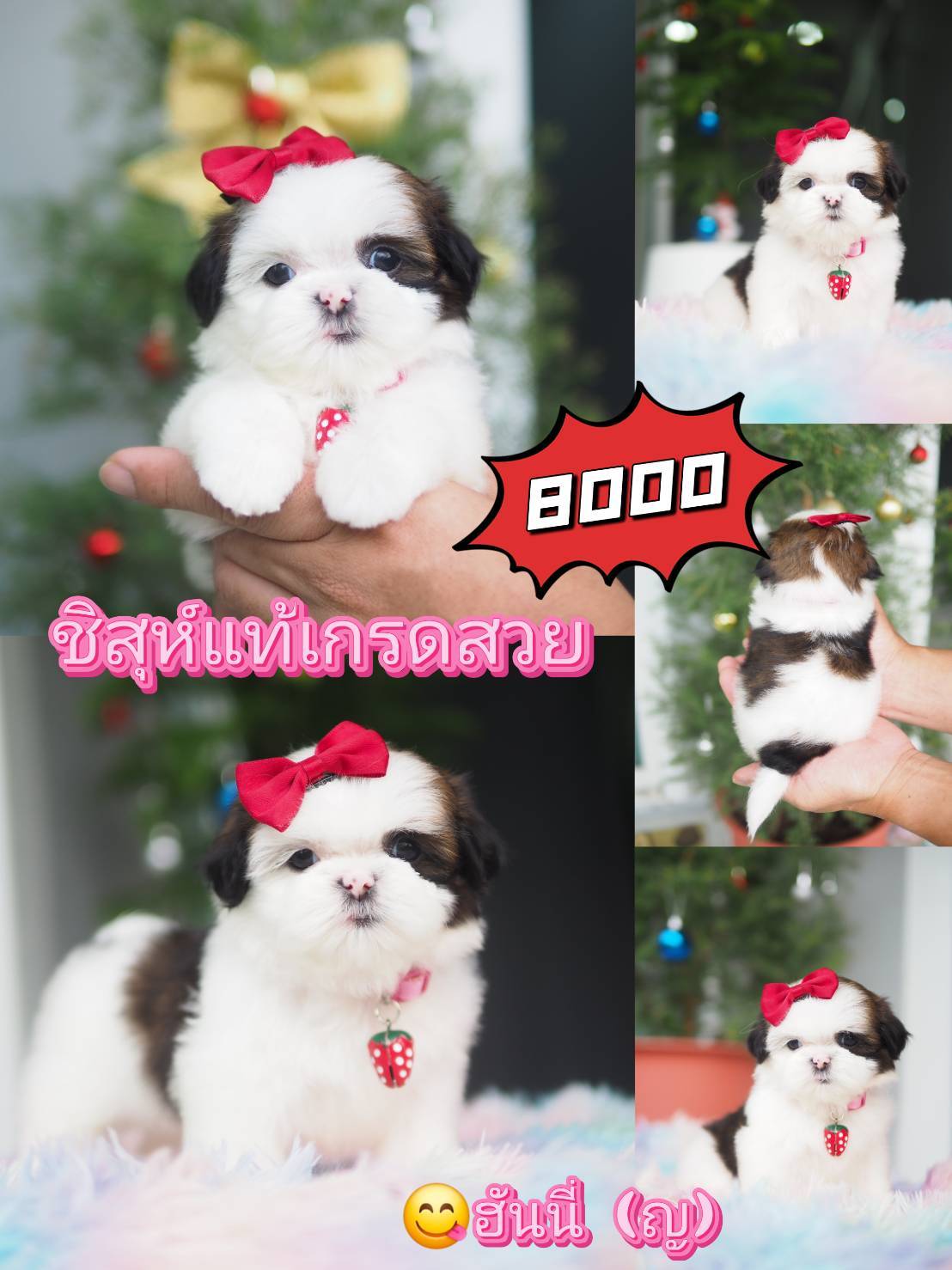 กิ๊ฟซ่า ลดได้