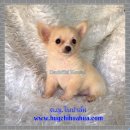 ด.ญ.ใบปาล์ม พร้อมถ่ายพยาธิ และวัคซีน 2 เข็มคะ