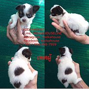 หนุ่มน้อย สายช๊อค พร้อมย้ายบ้านค่ะ