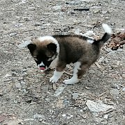 ปิดการขายไปอยู่ขอนแก่นกับคุณ​ พิเชฐ​