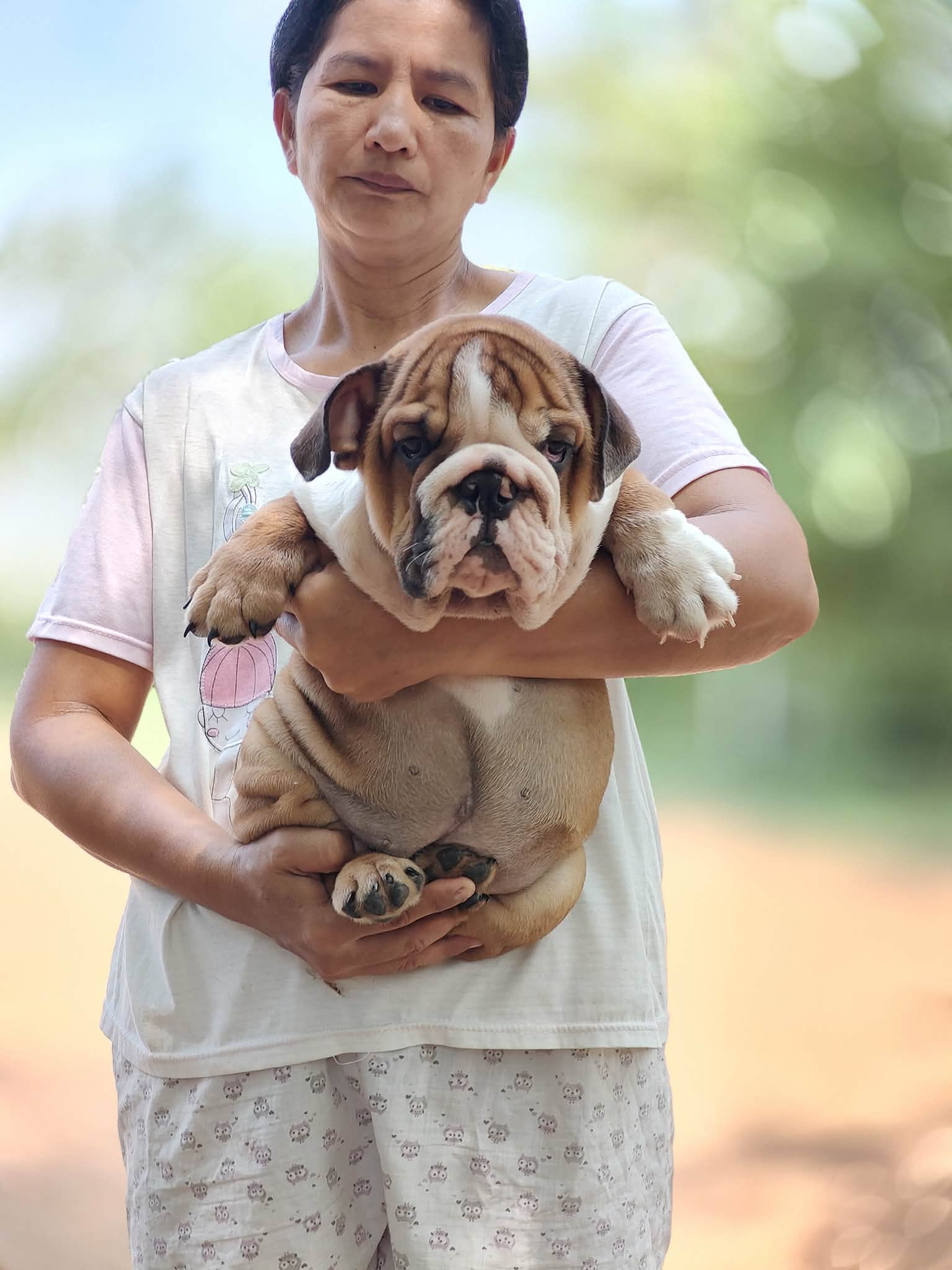 อิงลิชบลูด็อกเพศเมีย