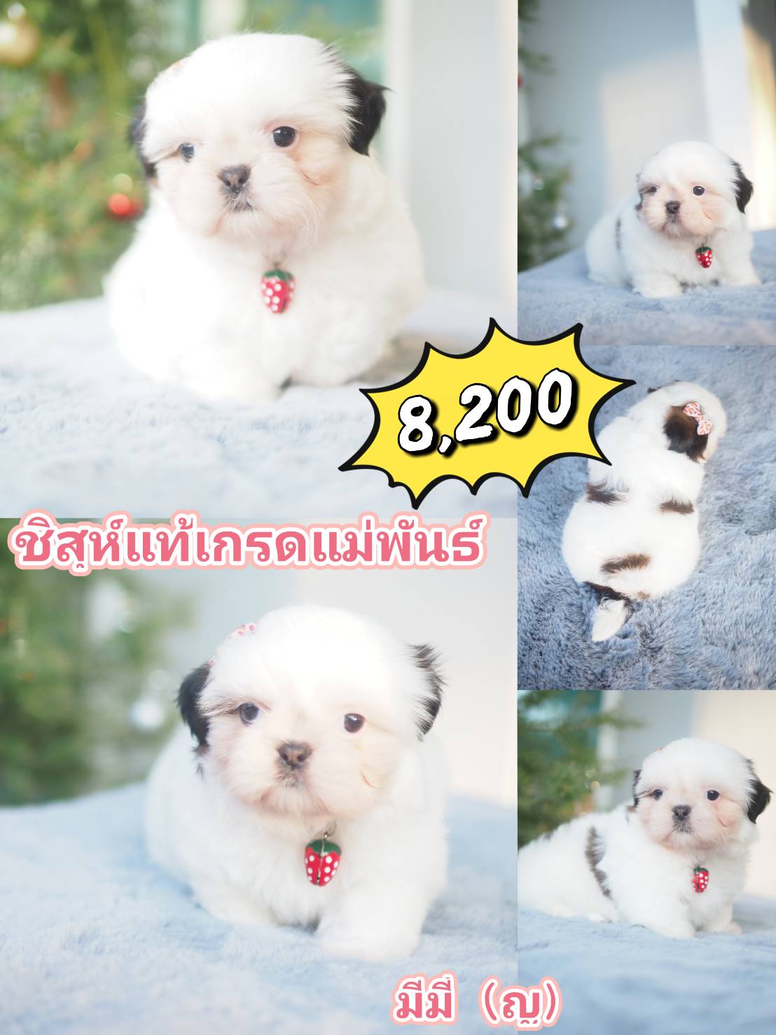 กิ๊ฟซ่า ลดได้ๆ จ้า