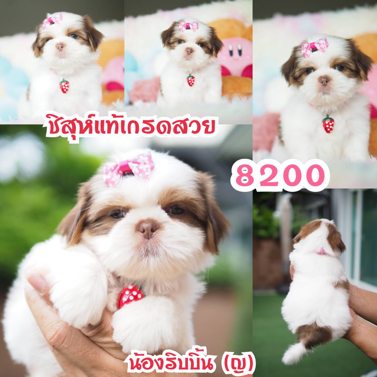 ❤️กิ๊ฟซ่า จัดโปร เกรดสวย สะพานใหม่ กทม.