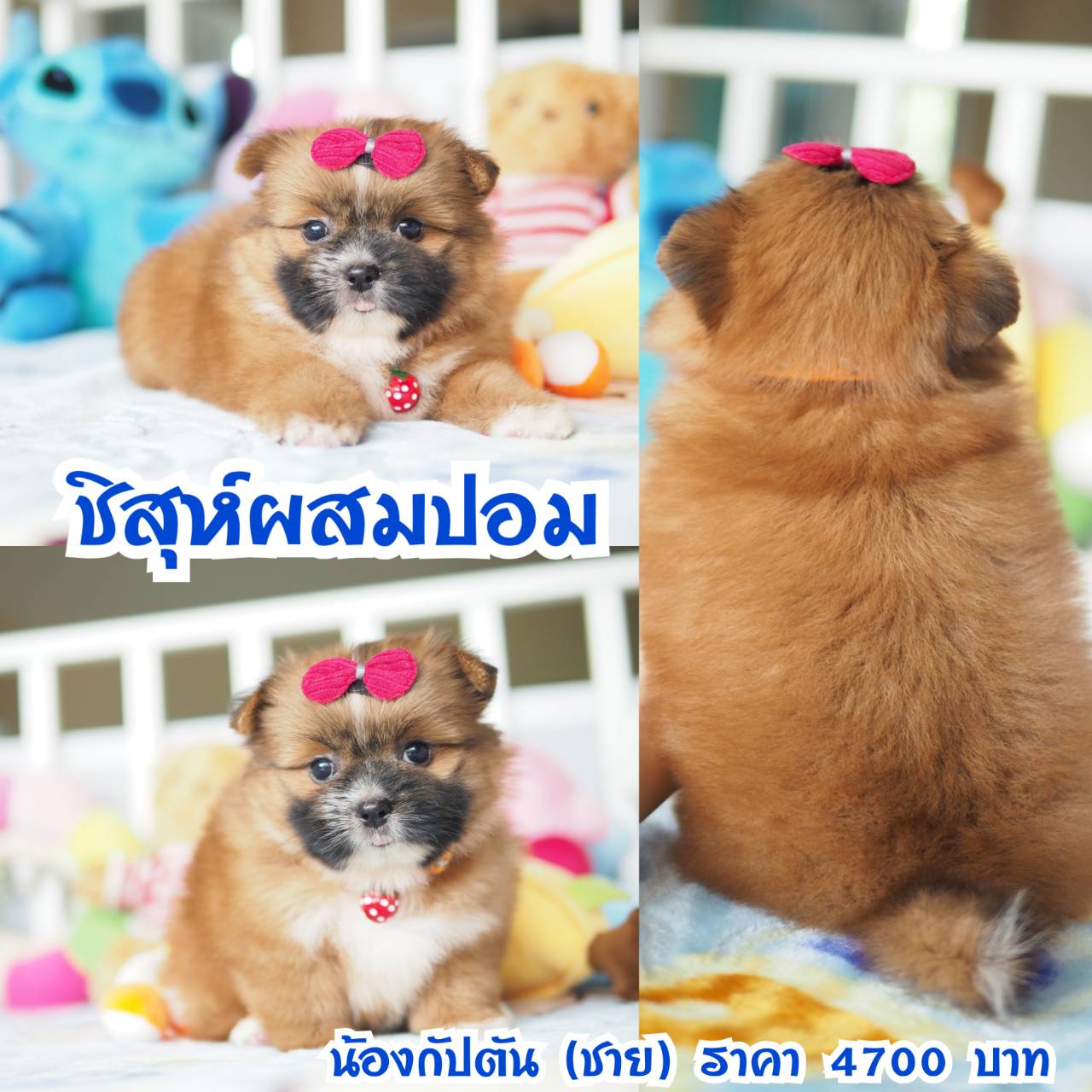 ⛔️กิ๊ฟซ่า ลดทั้งบ้าน