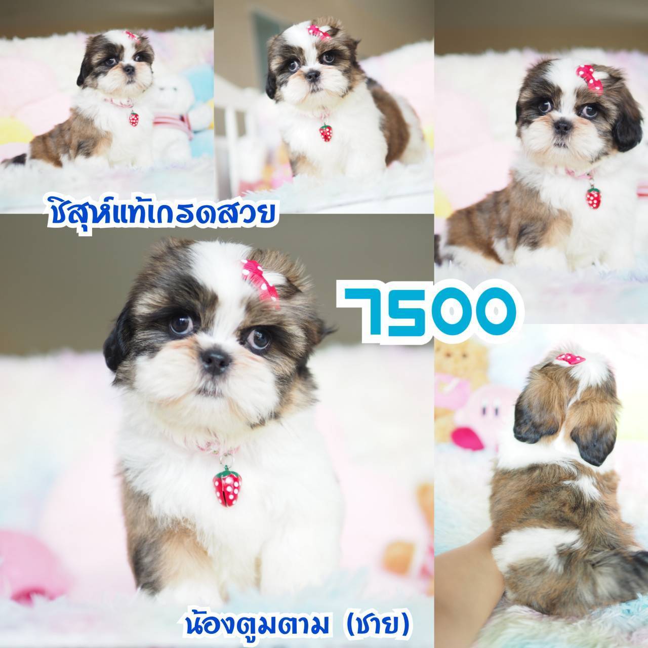 ❤️กิ๊ฟซ่า จัดโปร เกรดสวย สะพานใหม่ กทม.