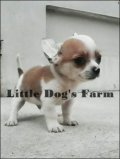 ปิดการขายน้องได้บ้านใหม่แร้วคร่ะ Little Dog's Farm