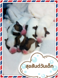ทักทายจับจองกันได้ น้องเกิด  8 มกราคม 2557