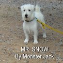 ลูกของSnow&Milo ล่าสุดตัวผู้ตัวสุดท้าย