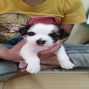 แจ็ค​เพศชาย ล้าน% 