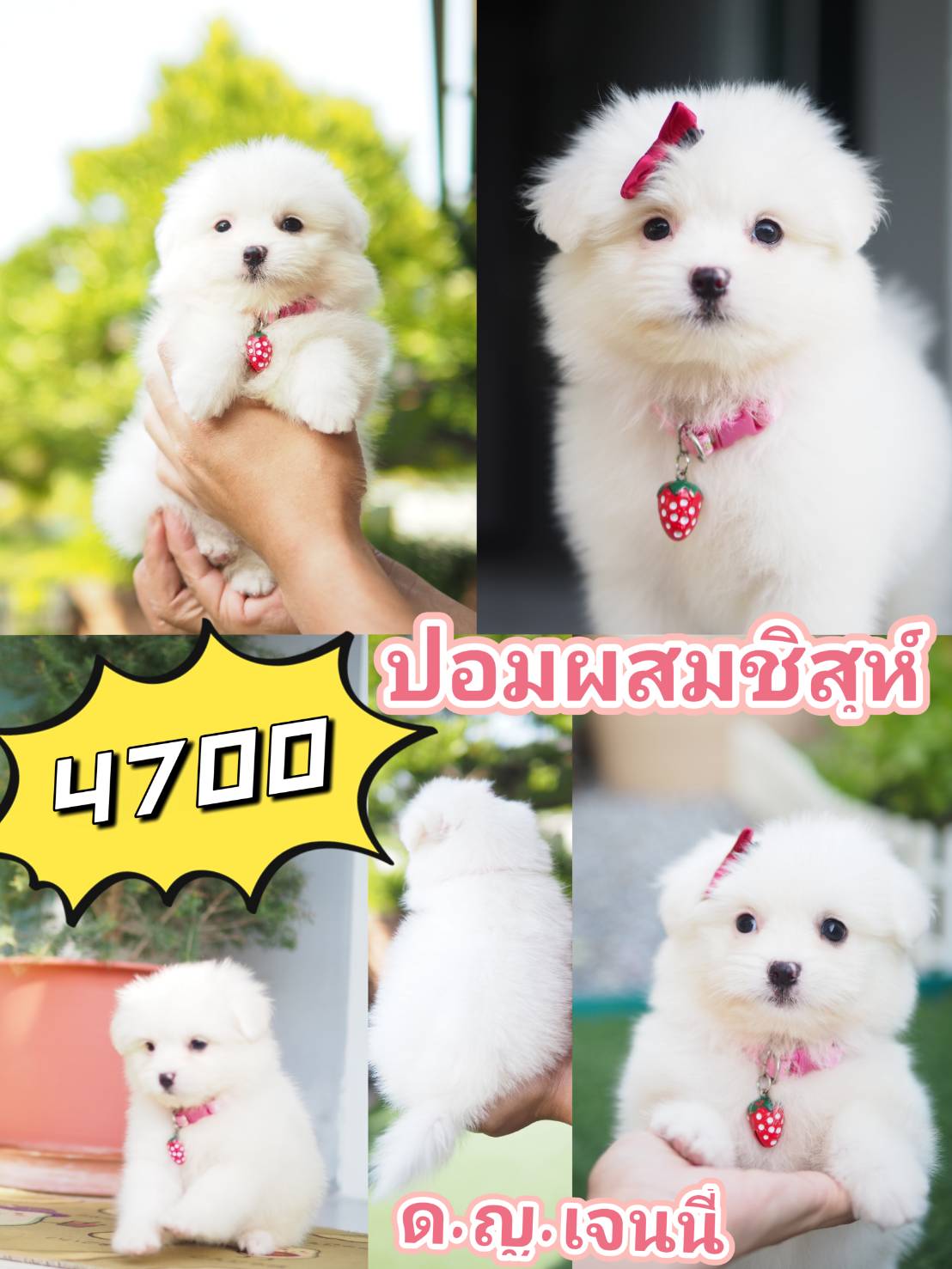 กิ๊ฟซ่ามาแล้ว  จตุโชติ ไม่มีสาขา