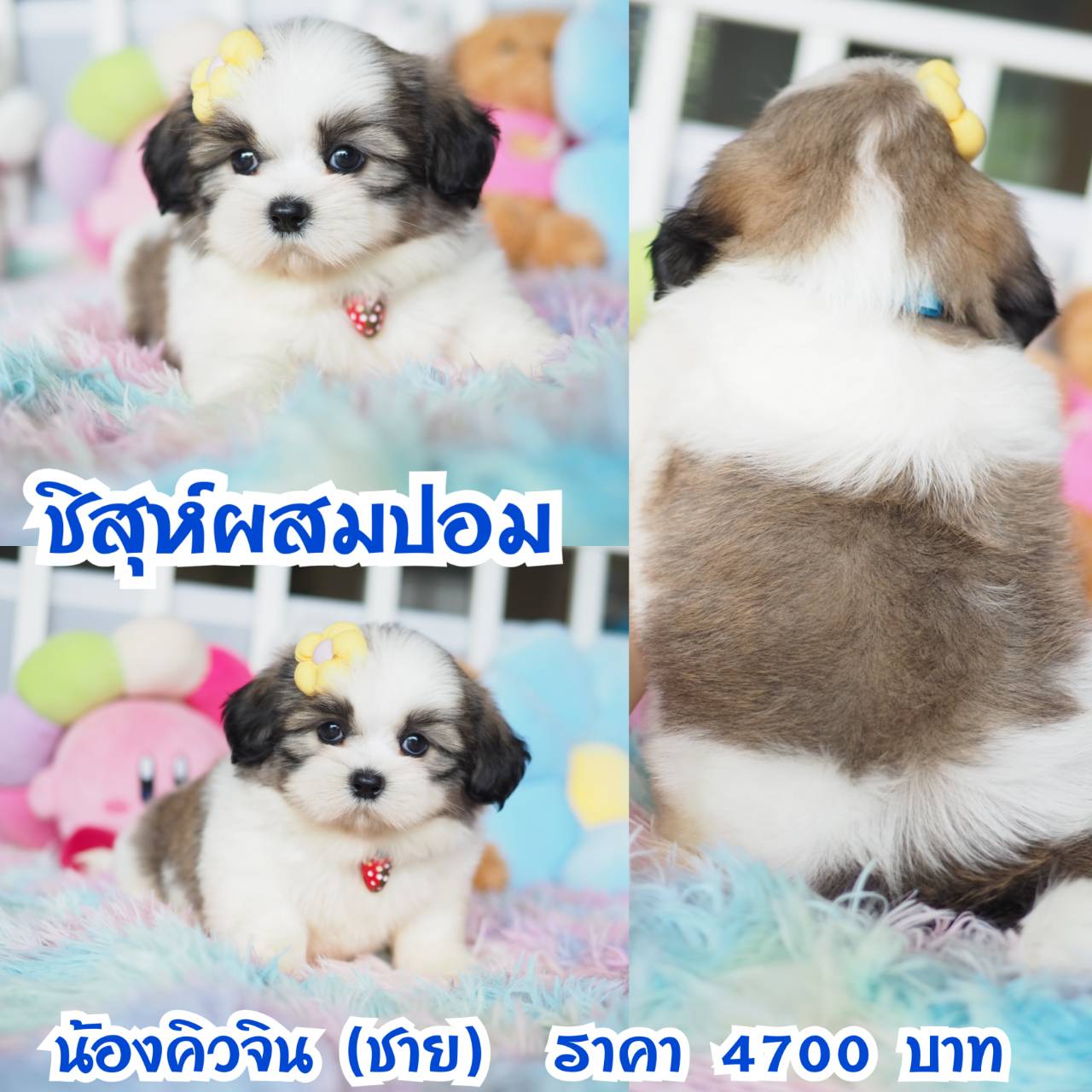 ⛔️กิ๊ฟซ่า ลดทั้งบ้าน