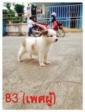 *ปิดการขาย*