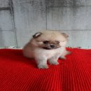 ย้ายบ้านแล้วครับ