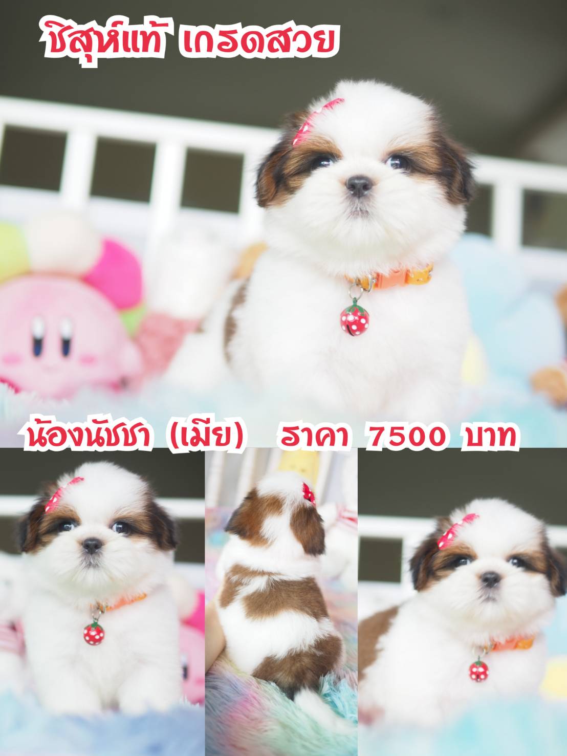 ⛔️กิ๊ฟซ่า ลดทั้งบ้าน