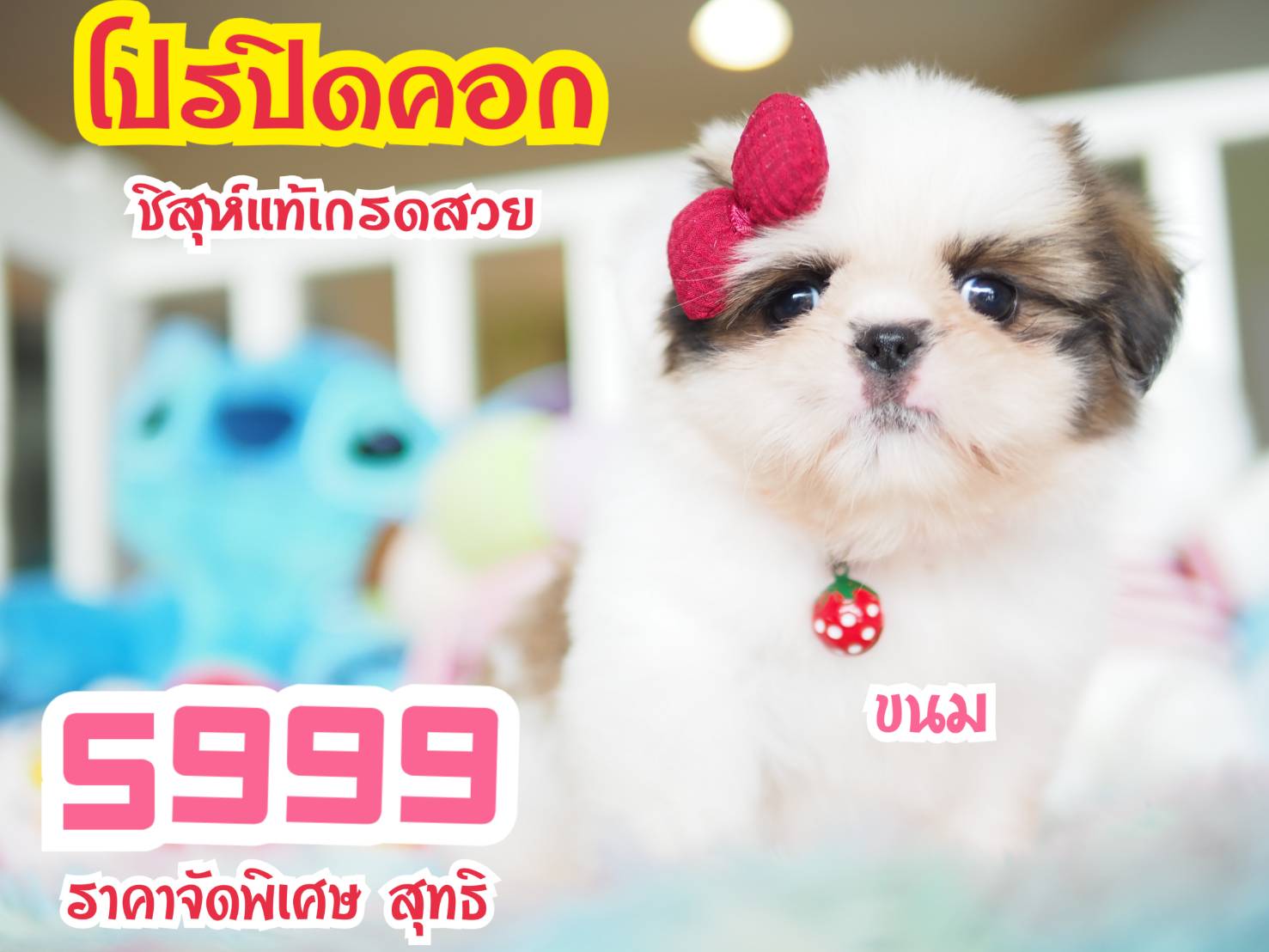 ❣️กิ๊ฟซ่า สวยและดี