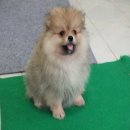 ขายสาวน้อย ขนดีมาก ราคาโปรโมชั่น 