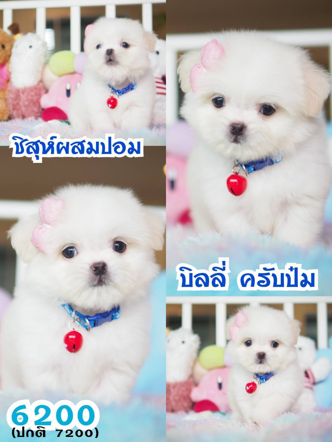 ⛔️kibzaa มีแต่สวยๆ