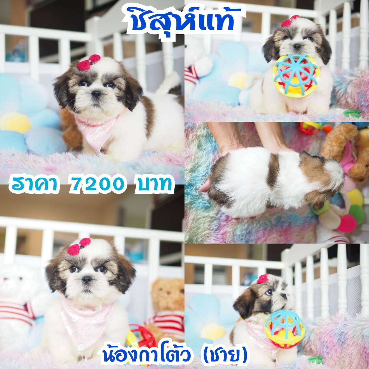 ⛔️kibzaa มีแต่สวยๆ