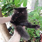 ติดจองมัดจำเรียบร้อยแล้วจ้า