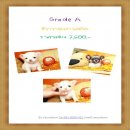  !!Grade A!! ชิวาวา ขนยาว<เมีย> ราคา 7,500 บาืท<< 