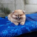 ย้ายบ้านแล้วครับ