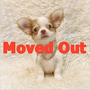 LITTLE DOG'S FARM : จองแล้วค่ะ ชิวาวาขนยาว ๆ สีแฟนซีขาว-น้ำตาล น่ารักๆจ้า