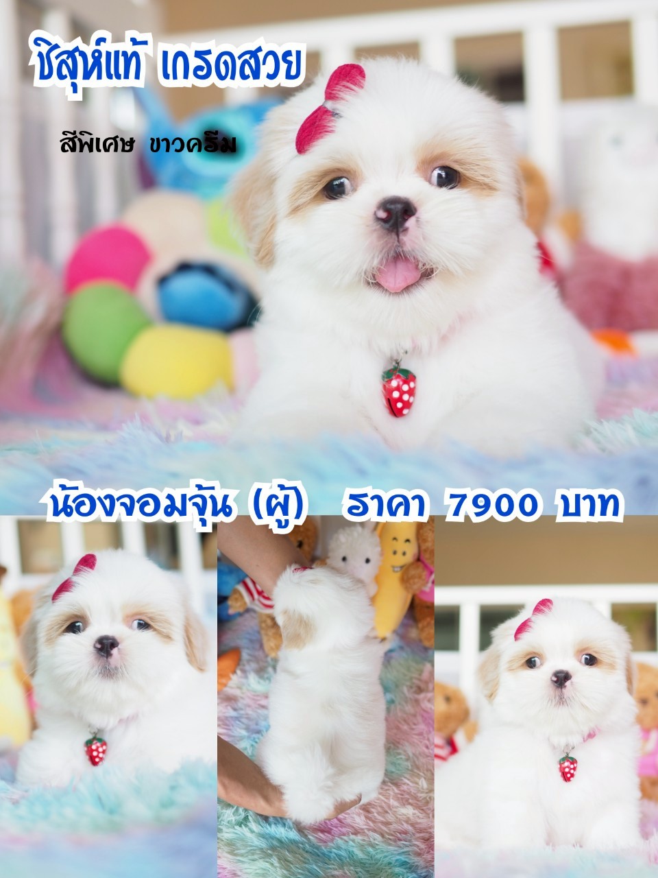 ⛔️กิ๊ฟซ่า มีแต่สวยๆ