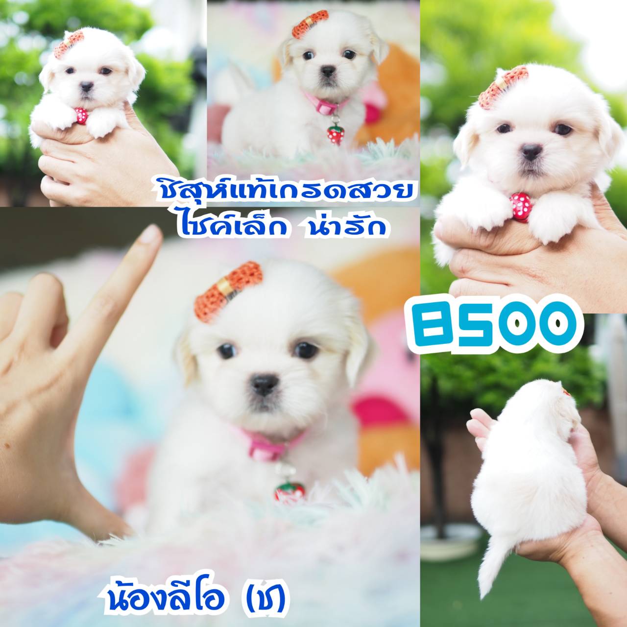 ❤️กิ๊ฟซ่า จัดโปร เกรดสวย สะพานใหม่ กทม.