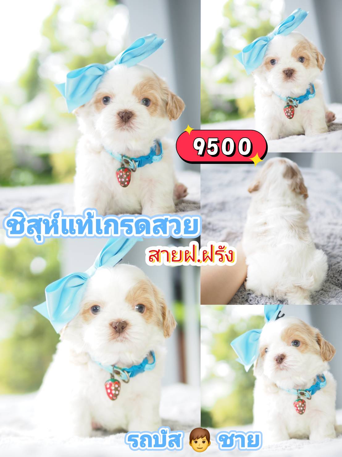 กิ๊ฟซ่า ❤️ น่ารัก