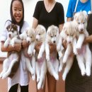 หาบ้านใหม่คะ