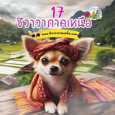 ชิวาวาภาคเหนือ