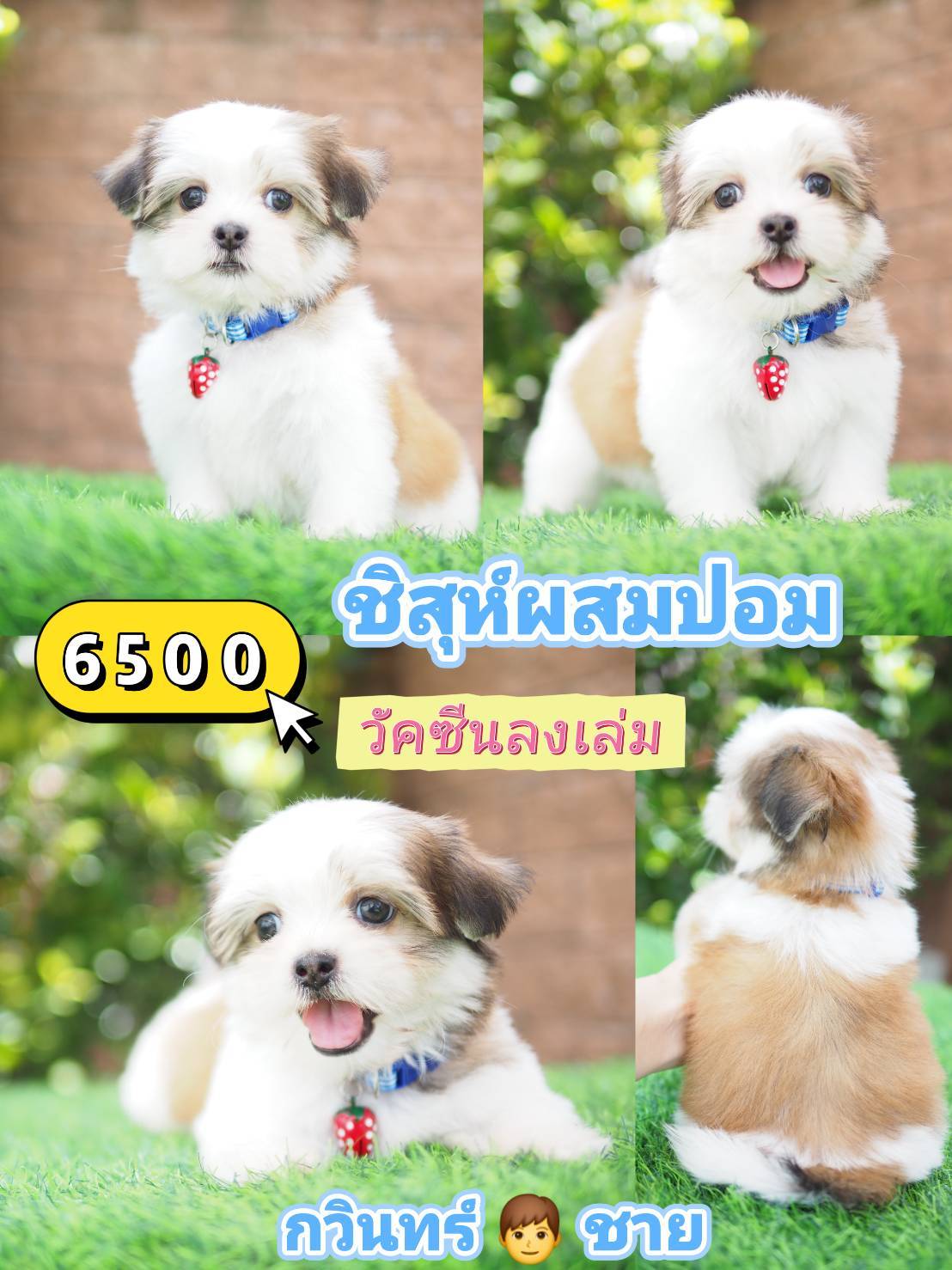 กิ๊ฟซ่า วัคซีน❣️