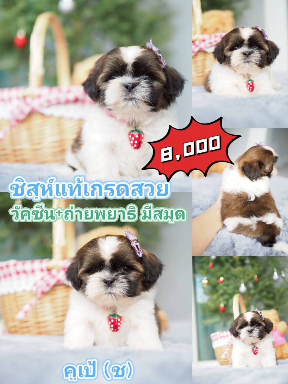 กิ๊ฟซ่า ลดได้ๆ